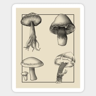 Botanical Mushrooms lineart Magnet